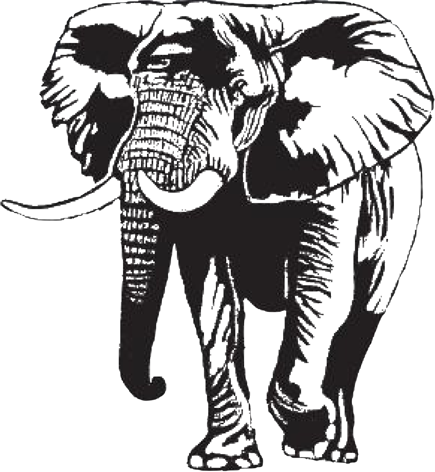 Rogue Storm elephant logo
