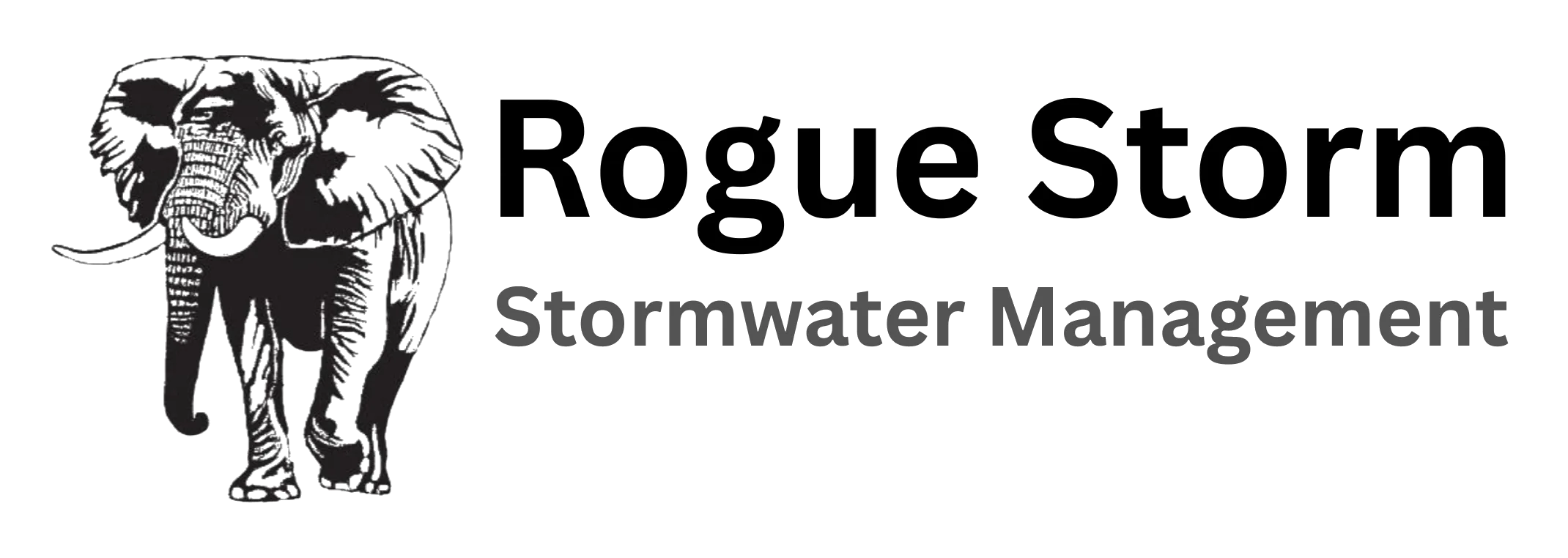 Rogue Storm Stormwater Management